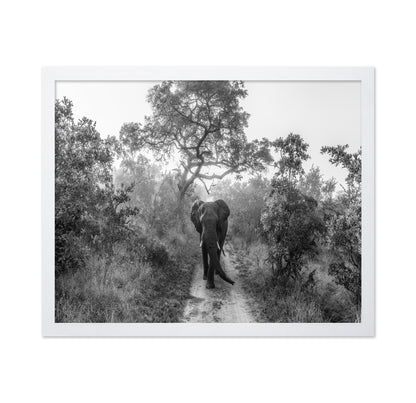Walking Giant