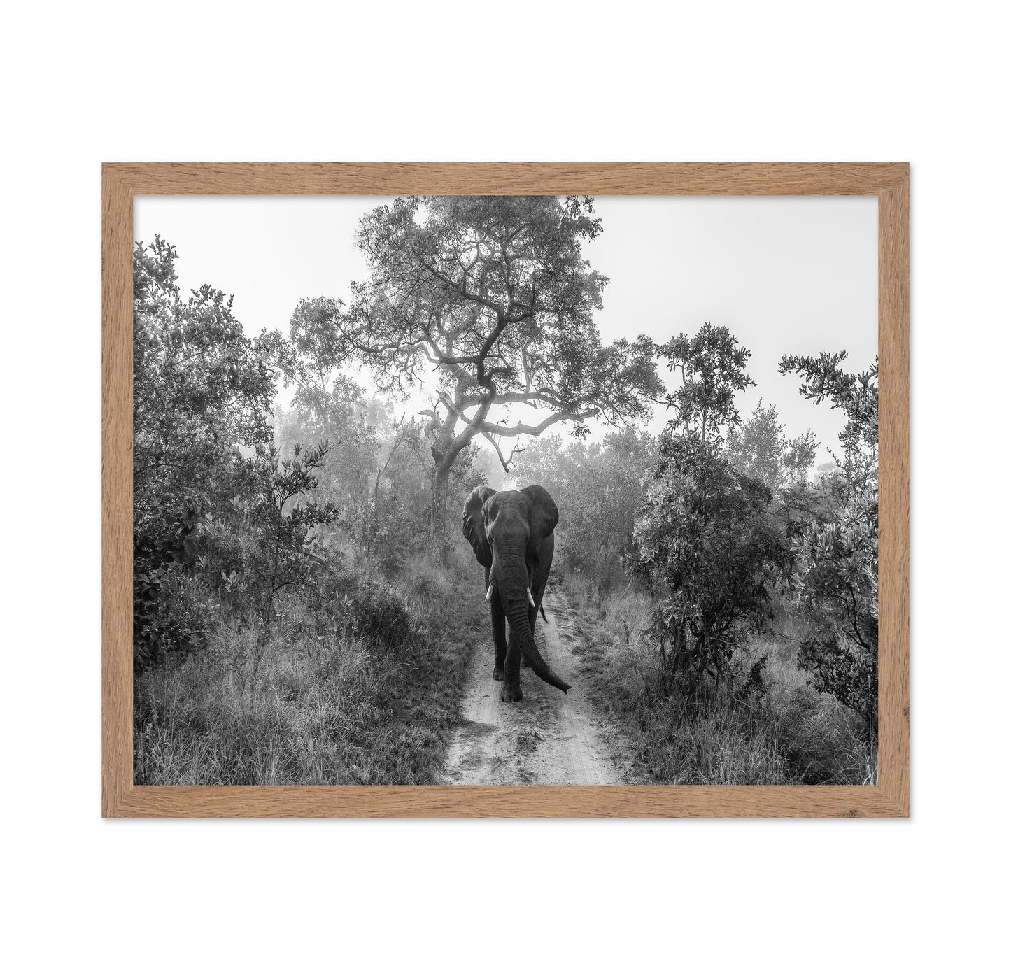 Walking Giant