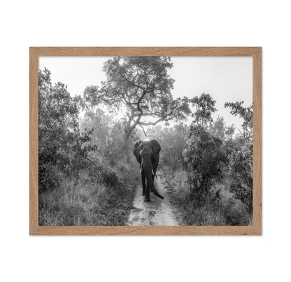 Walking Giant