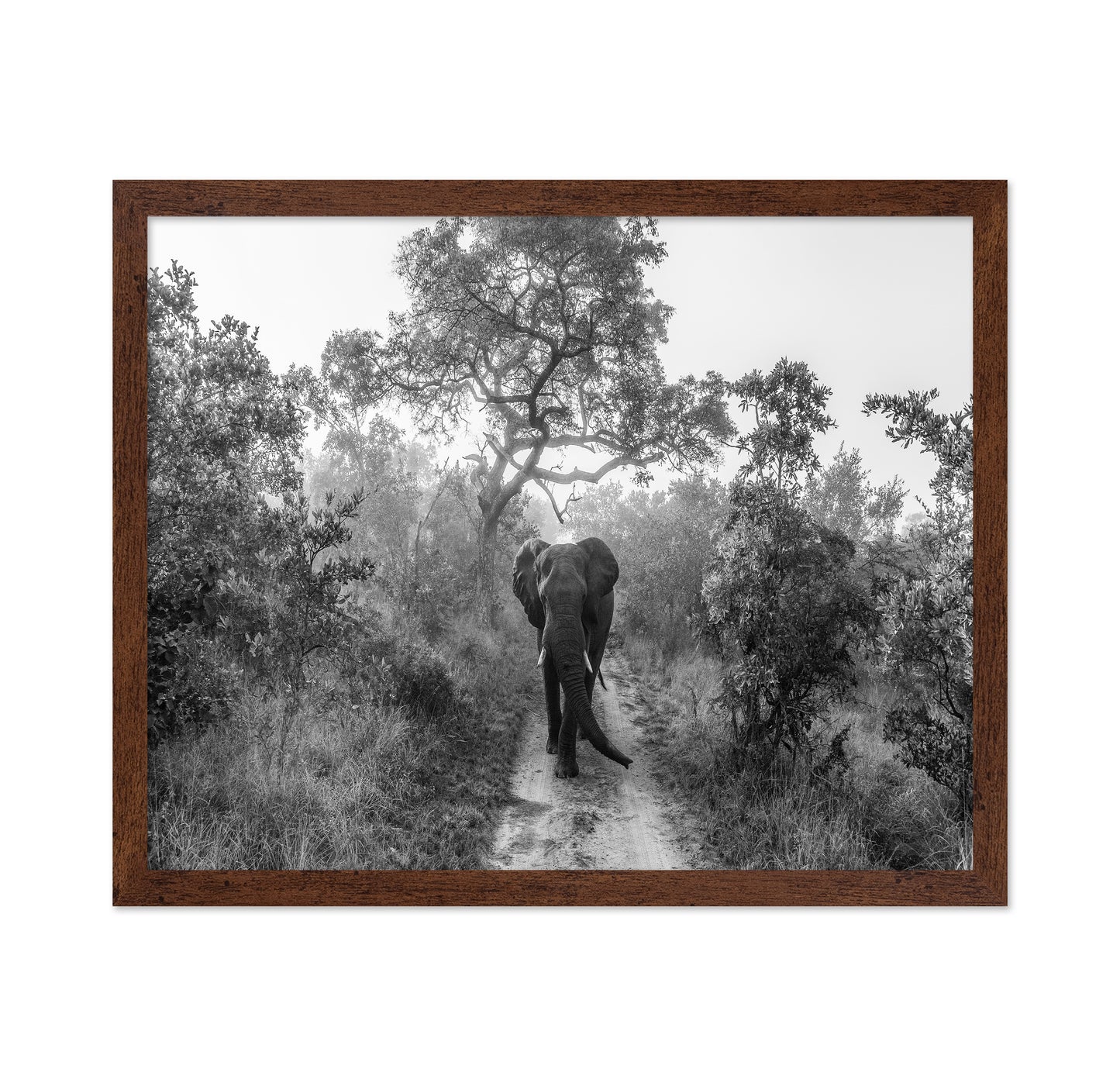 Walking Giant