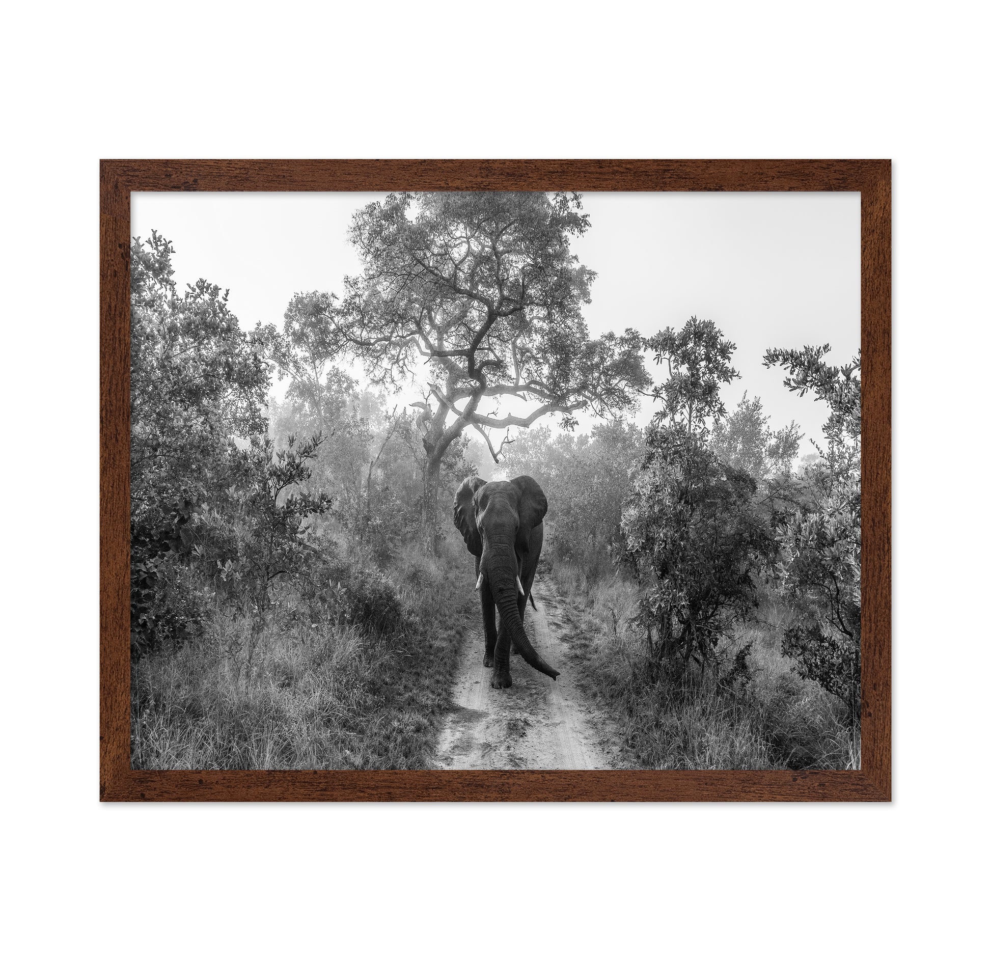Walking Giant
