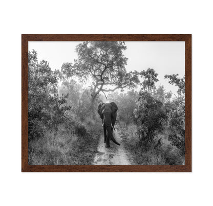 Walking Giant