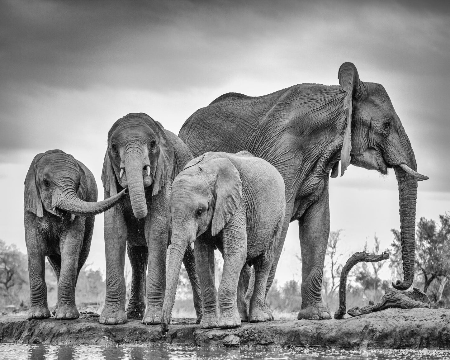 A Giant Unity