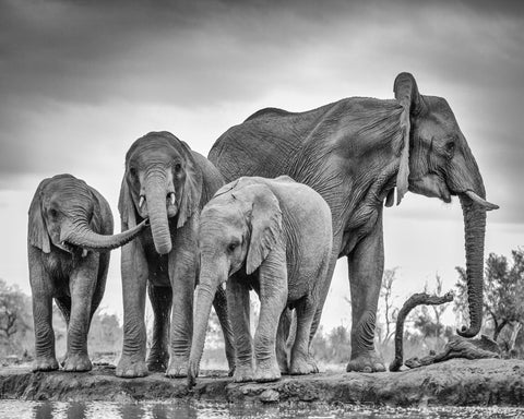 A Giant Unity