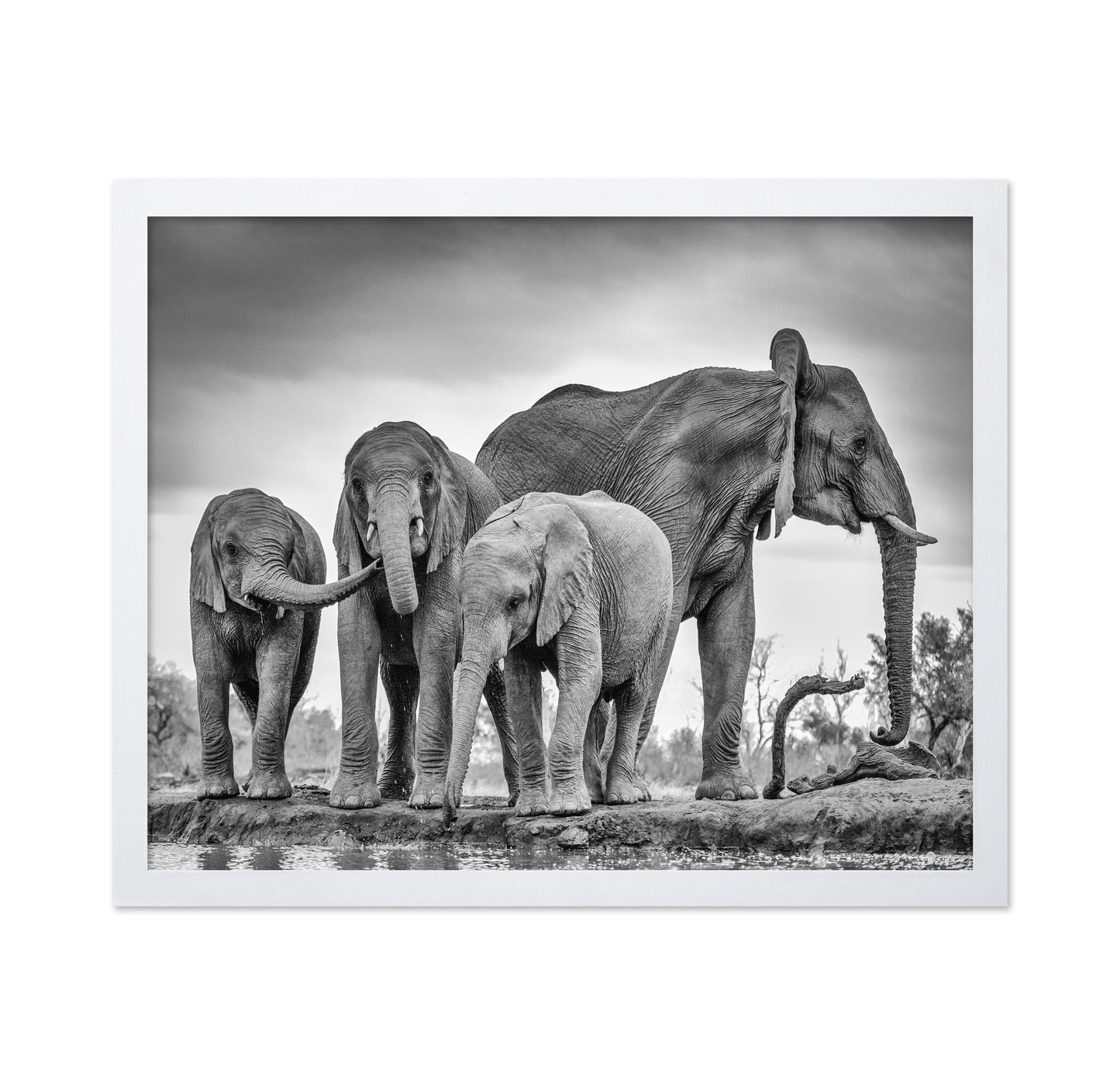 A Giant Unity