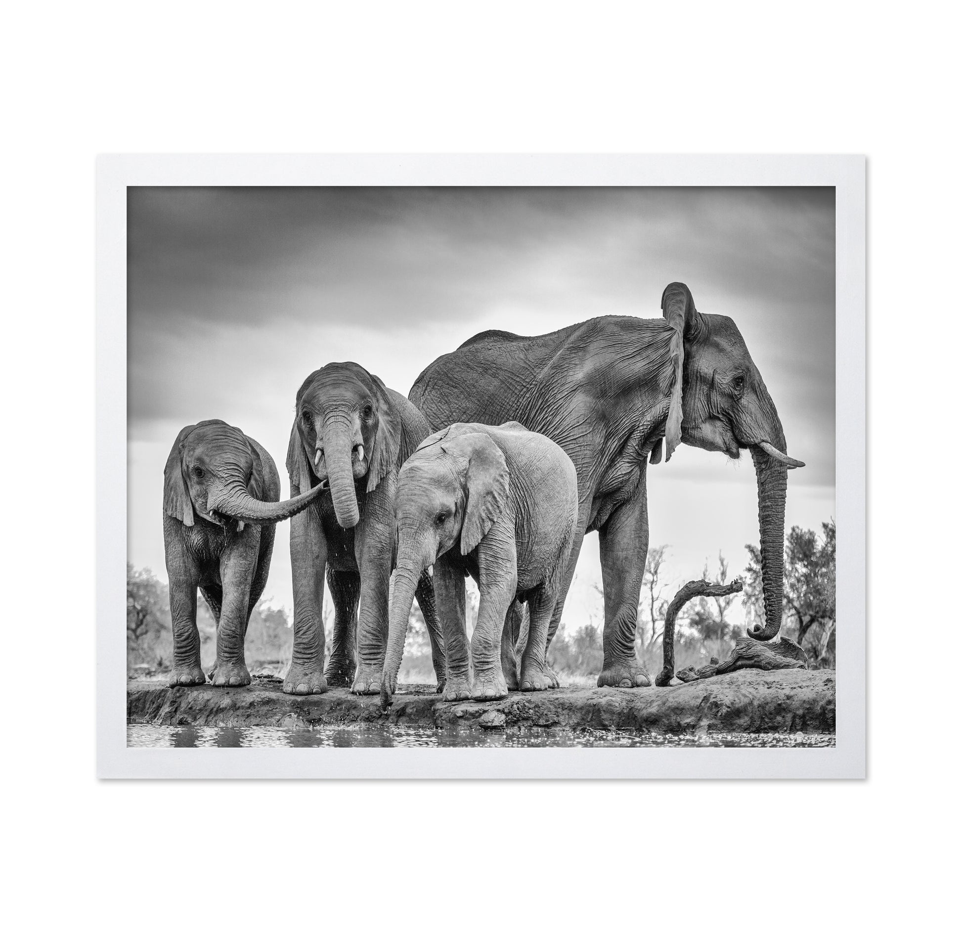 A Giant Unity