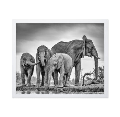 A Giant Unity