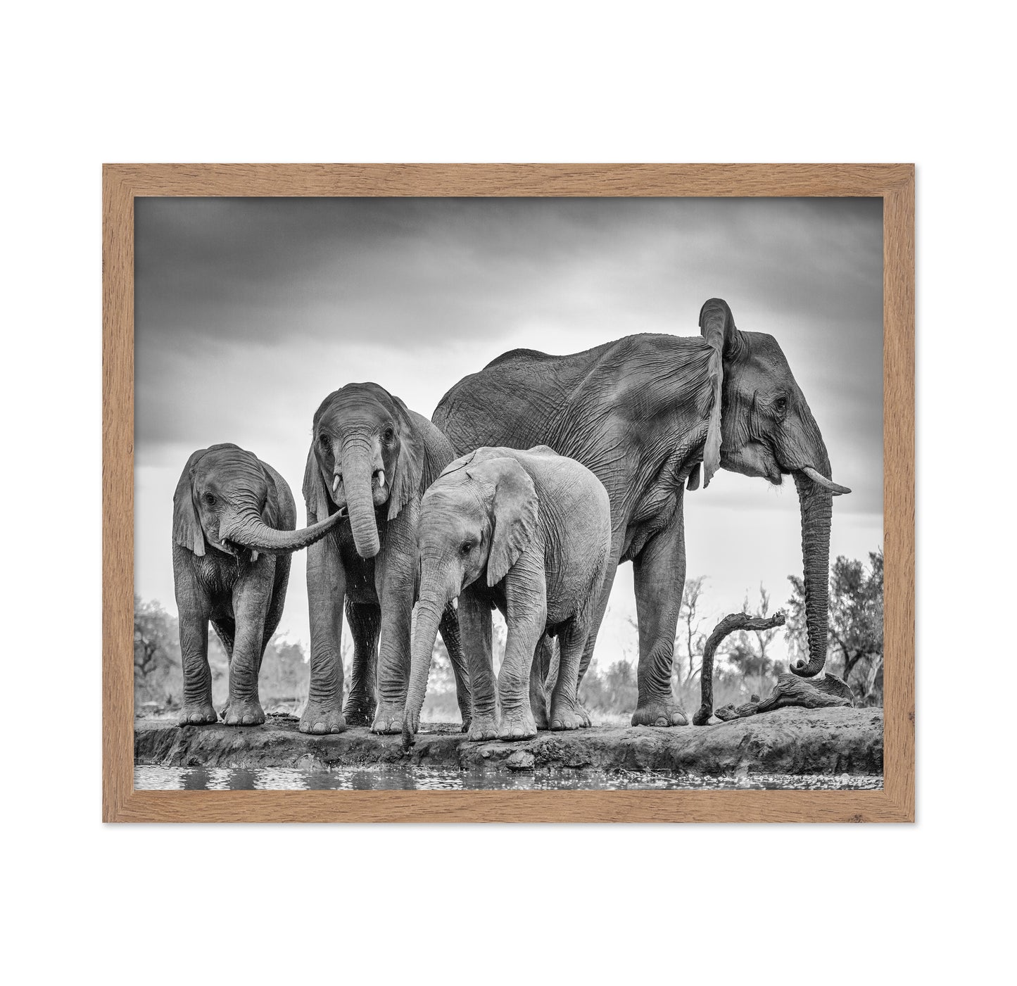 A Giant Unity