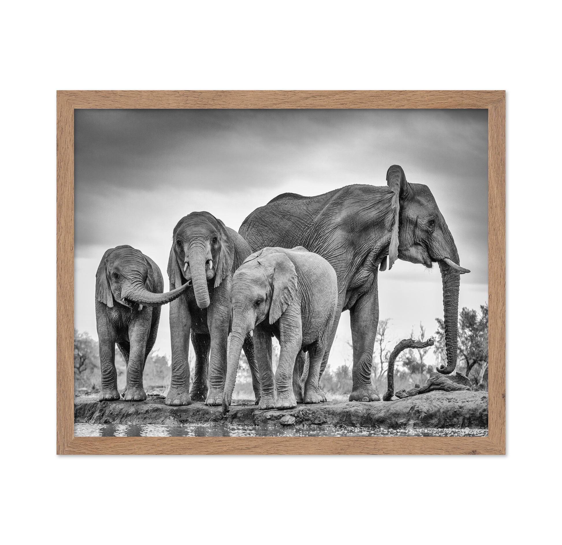 A Giant Unity