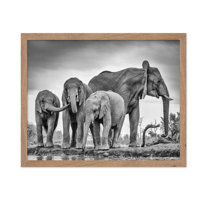 A Giant Unity