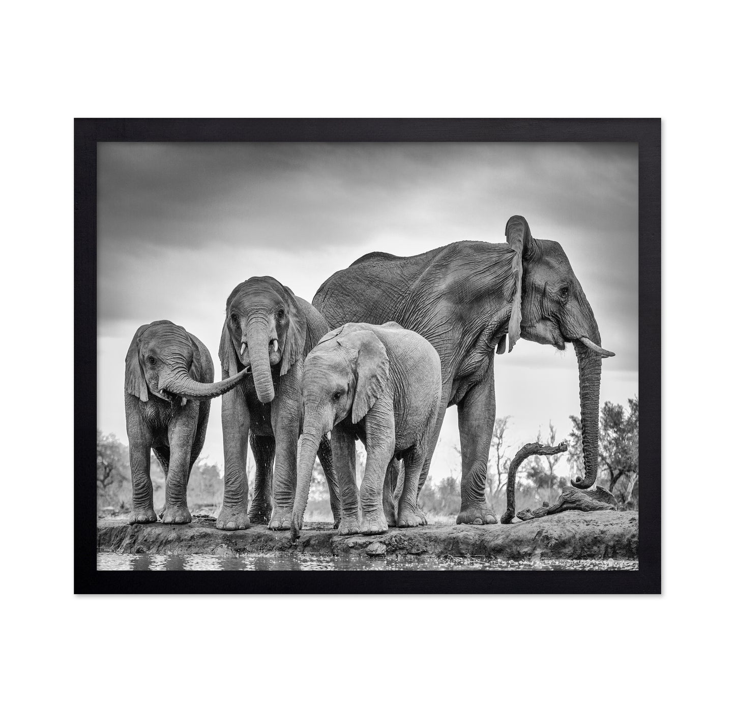 A Giant Unity