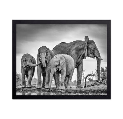 A Giant Unity