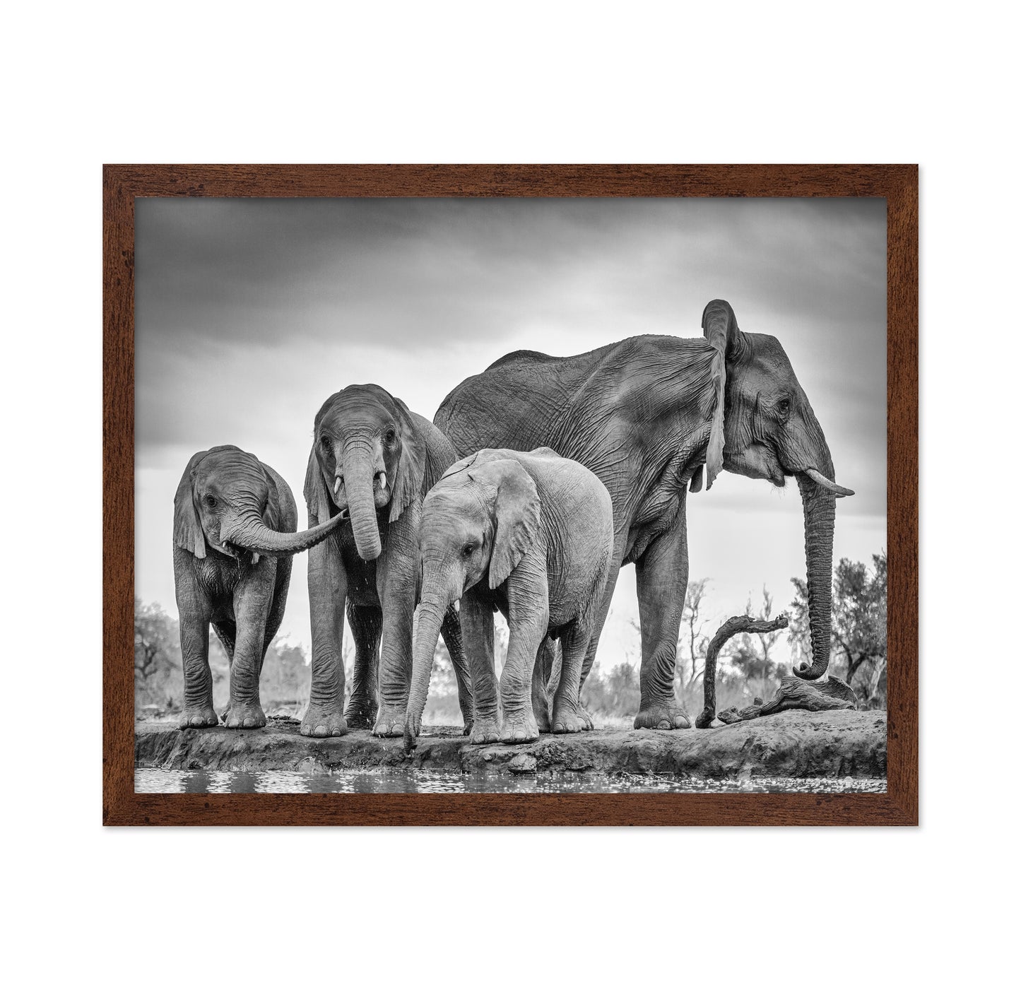 A Giant Unity