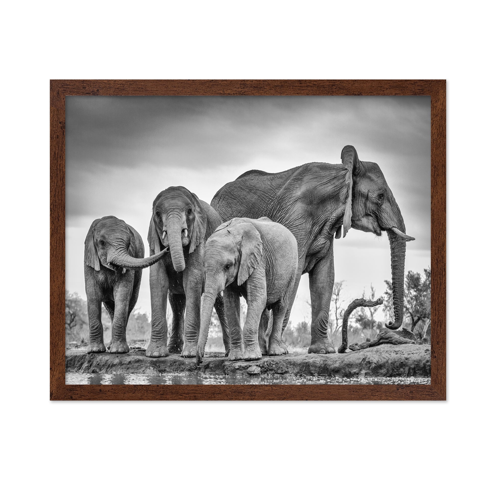 A Giant Unity