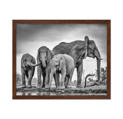 A Giant Unity