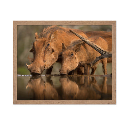 Reflected Thirst