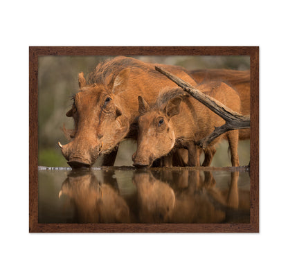 Reflected Thirst