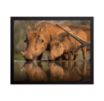 Reflected Thirst