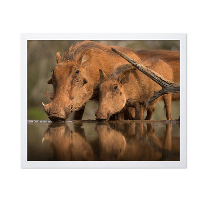 Reflected Thirst