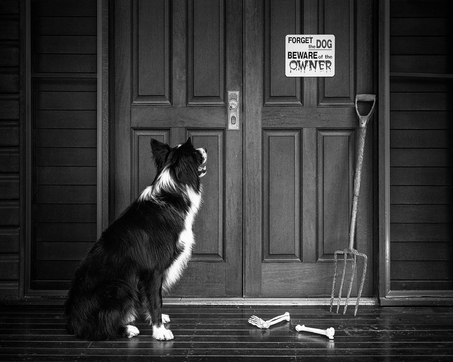 Beware of the Owner