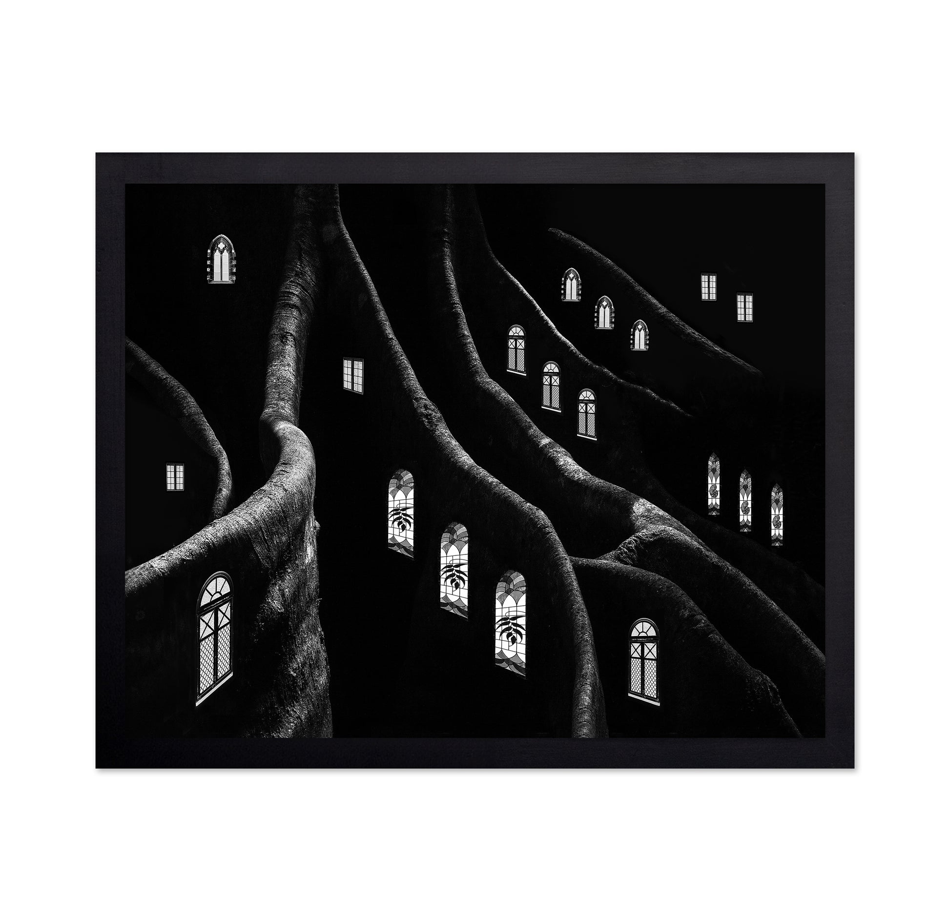 Windows of the Forest