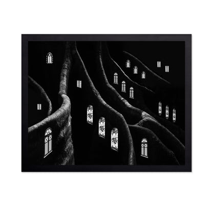 Windows of the Forest