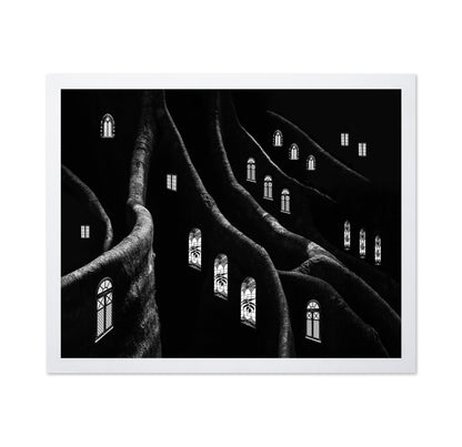 Windows of the Forest