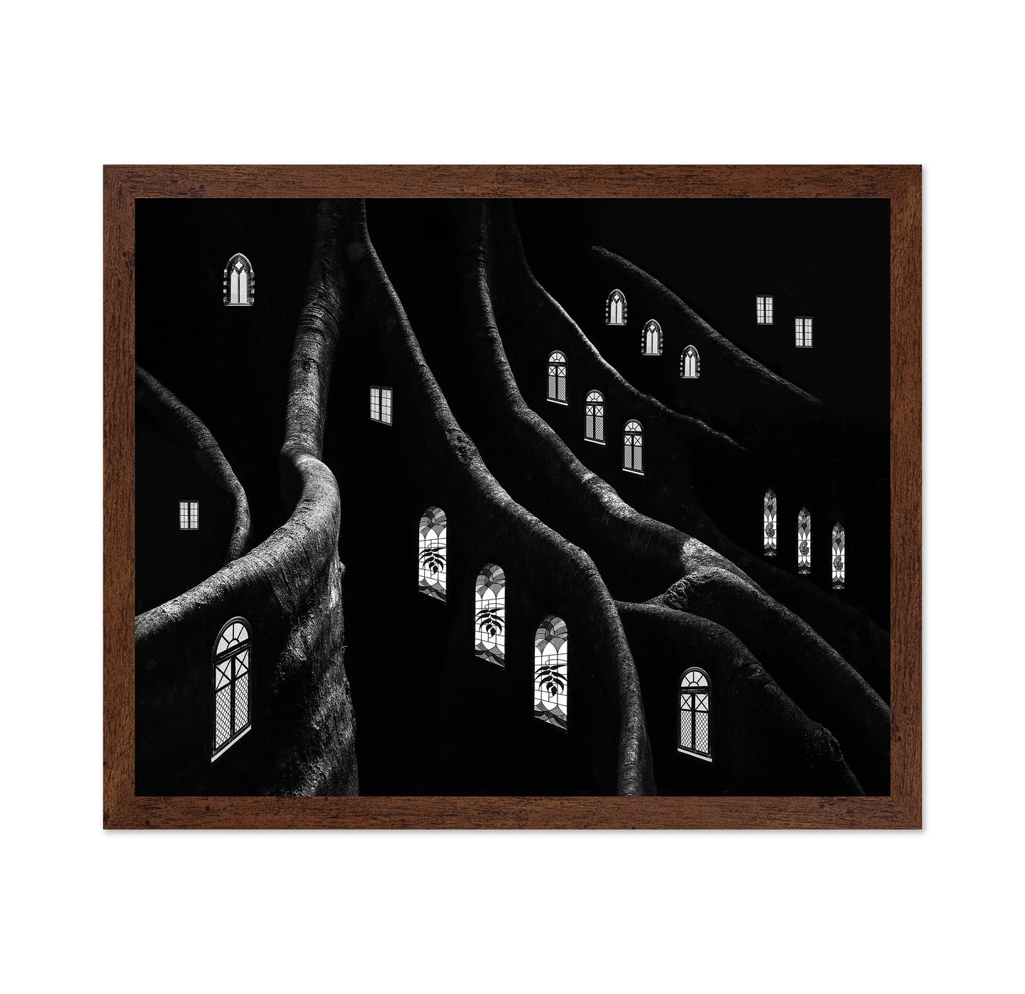 Windows of the Forest