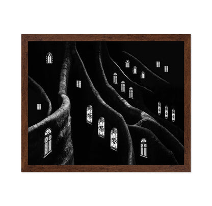 Windows of the Forest