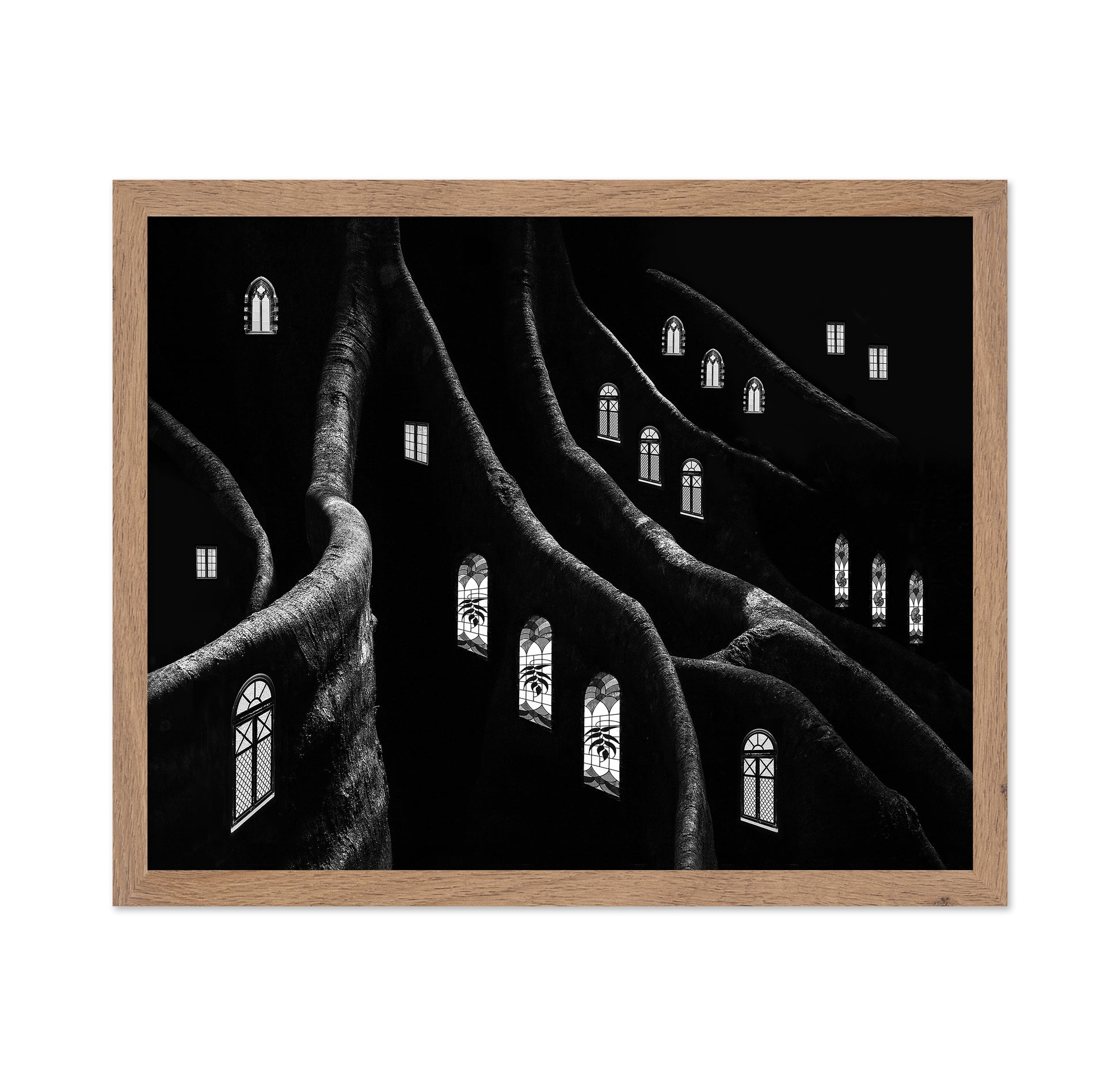 Windows of the Forest