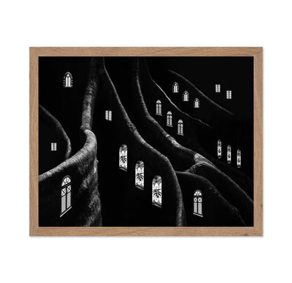 Windows of the Forest