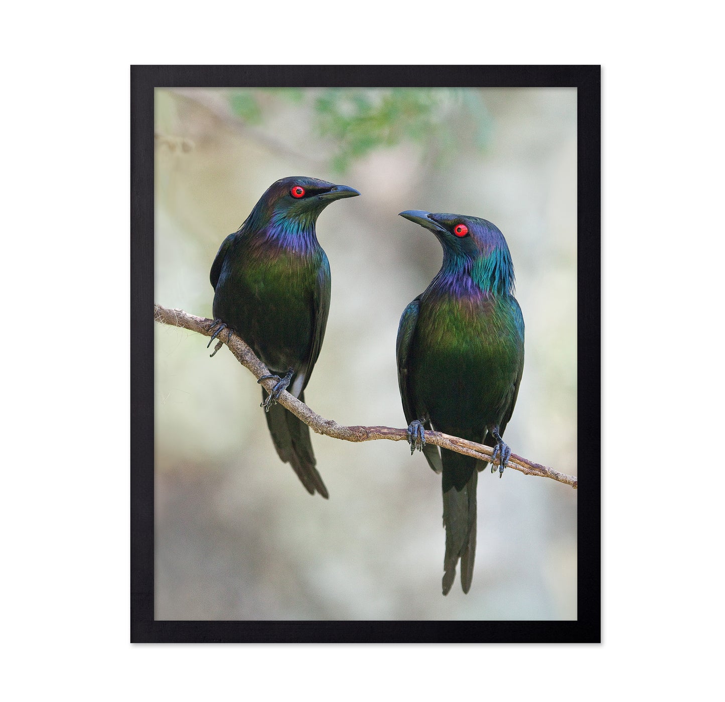 Beautiful Couple