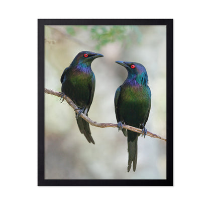Beautiful Couple