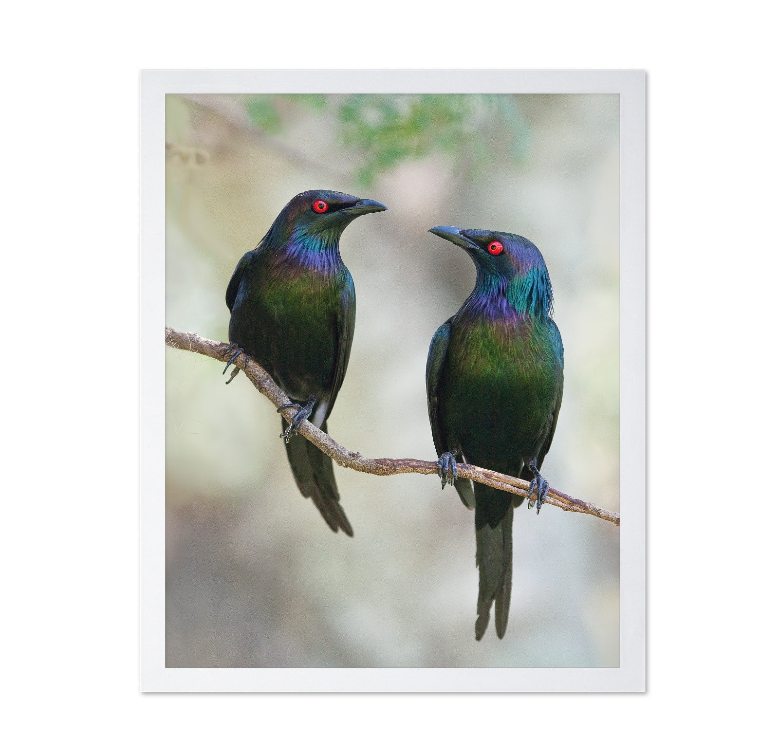 Beautiful Couple
