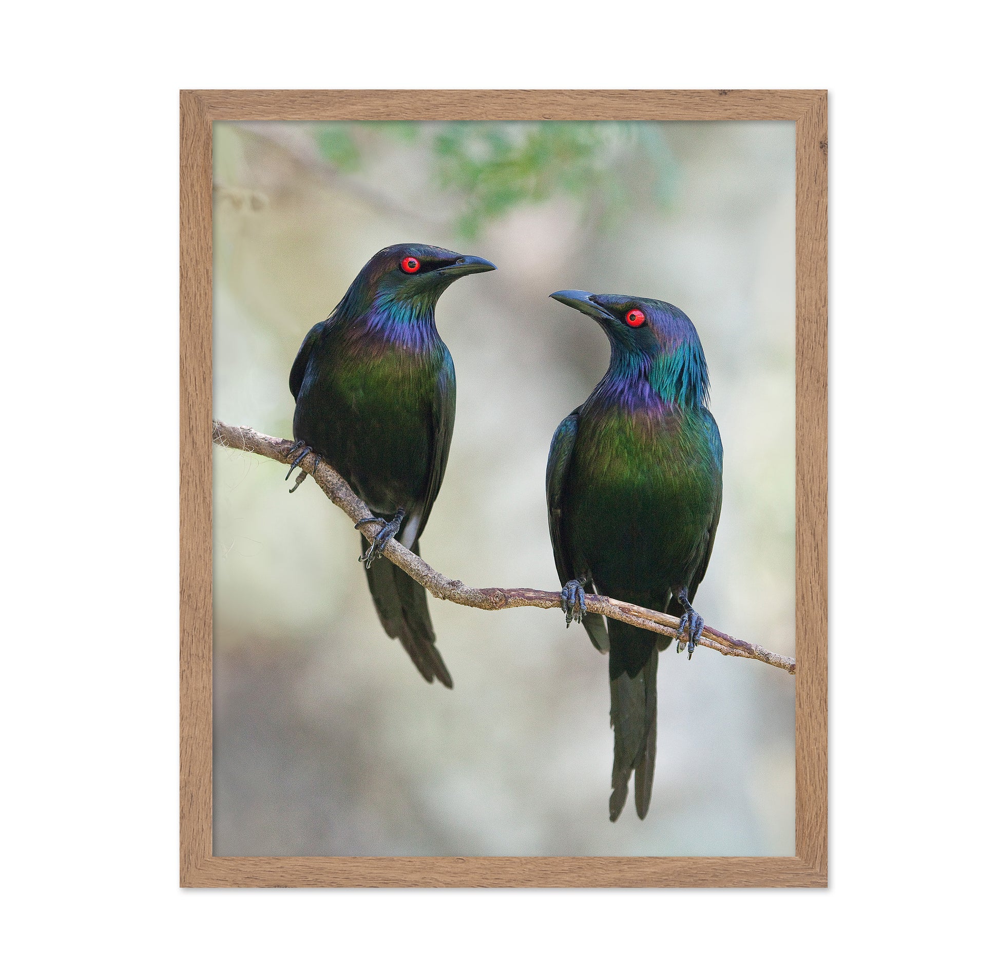 Beautiful Couple