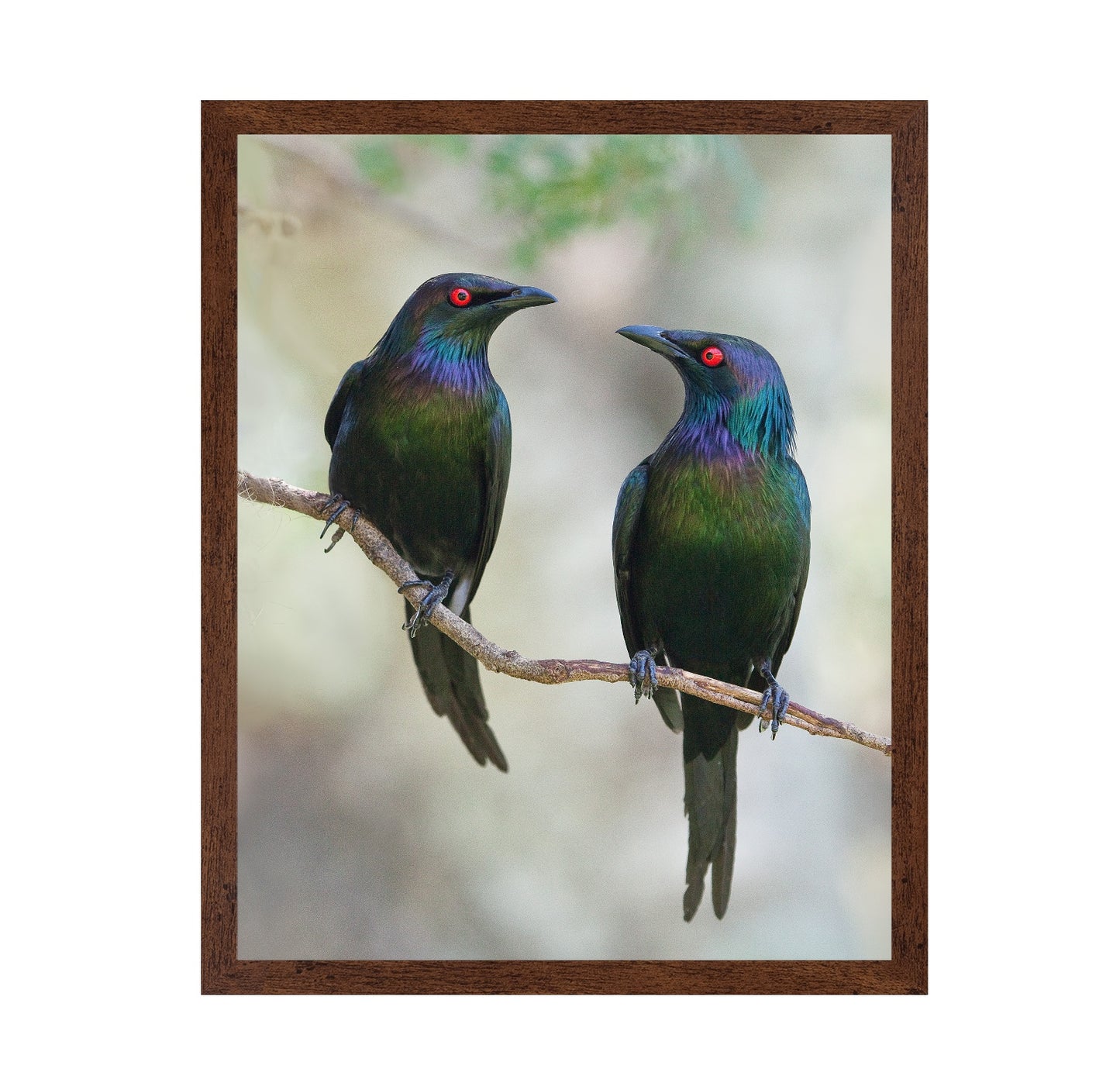 Beautiful Couple