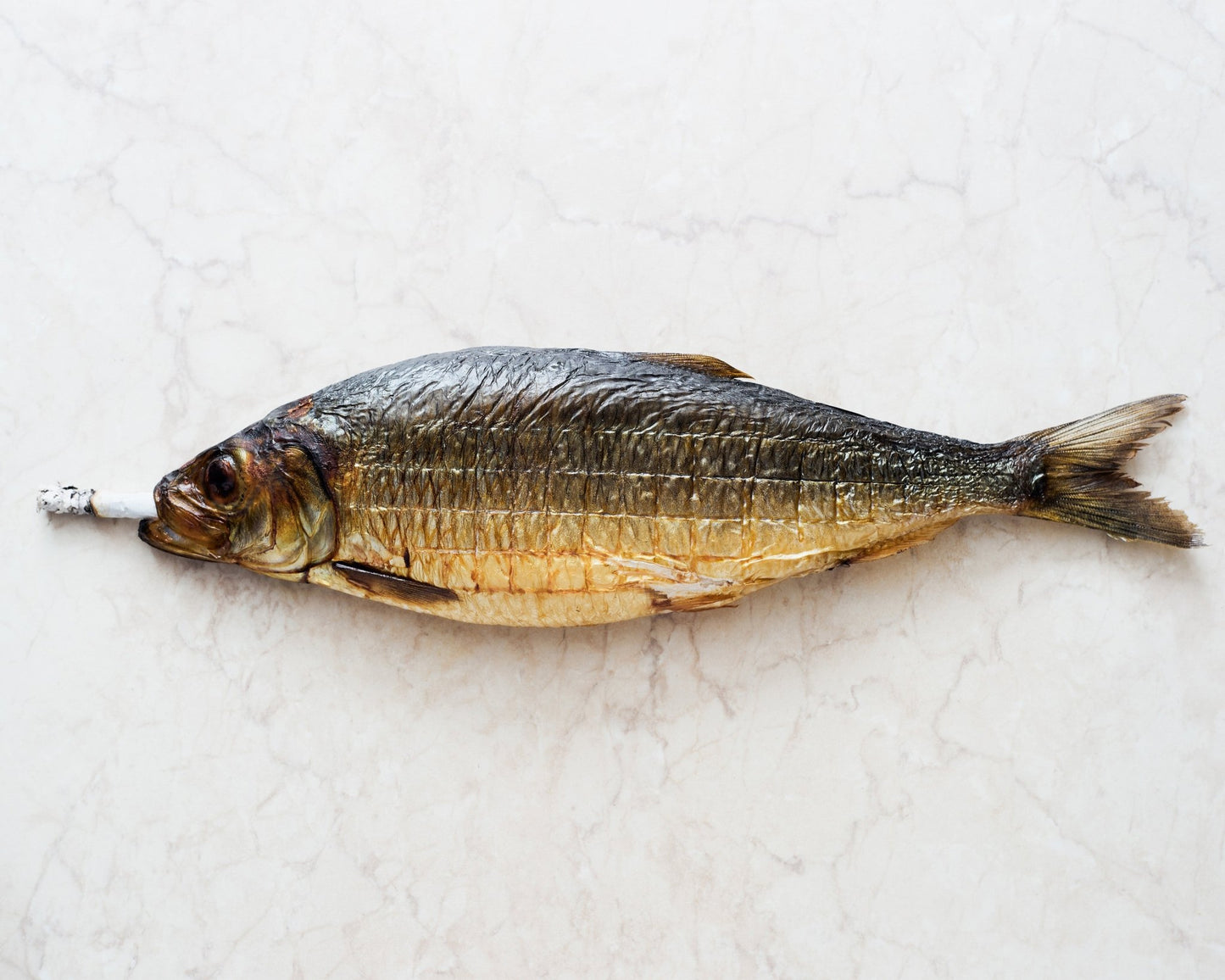 Fish with a Cigarette