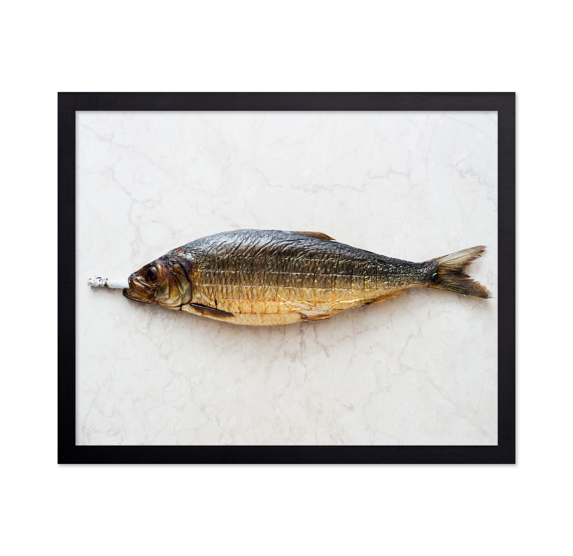 Fish with a Cigarette