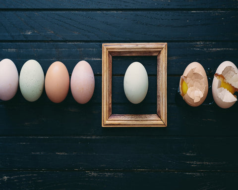 Framed Egg Mystery