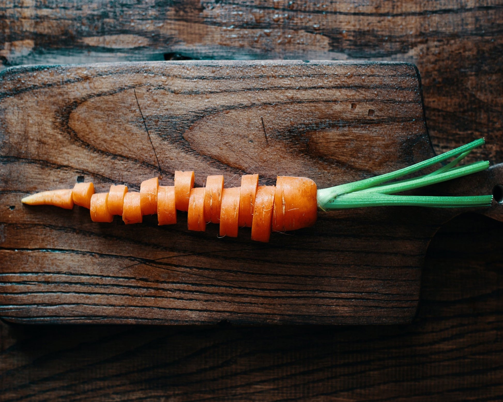 Chopped Carrot Symphony