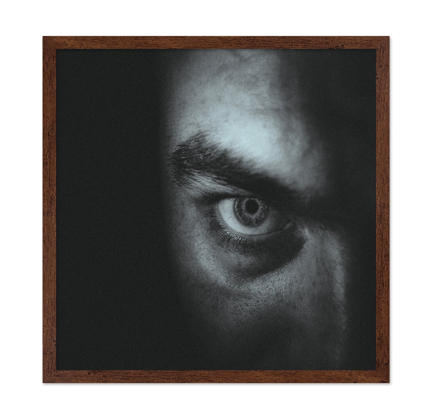 Close-up Of An Intense Gaze