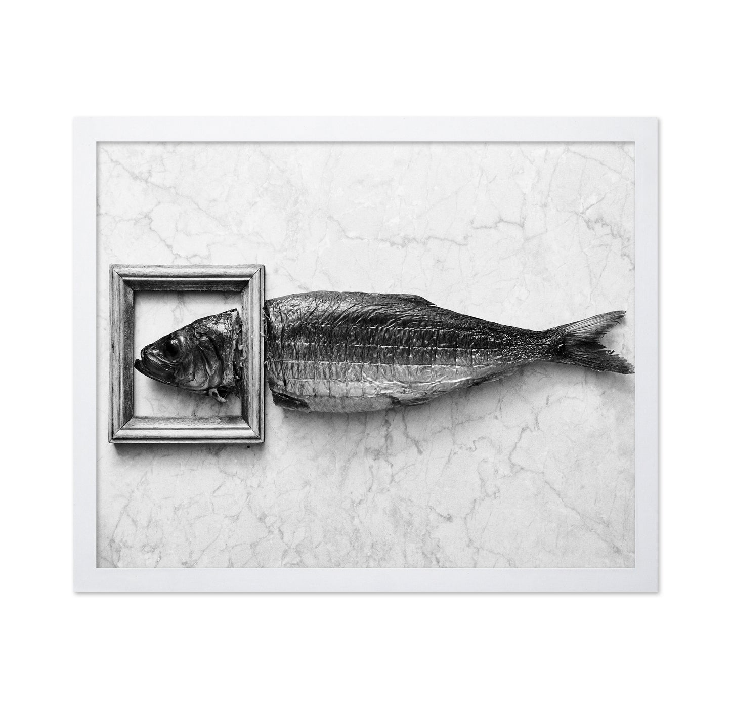 Fish Portrait