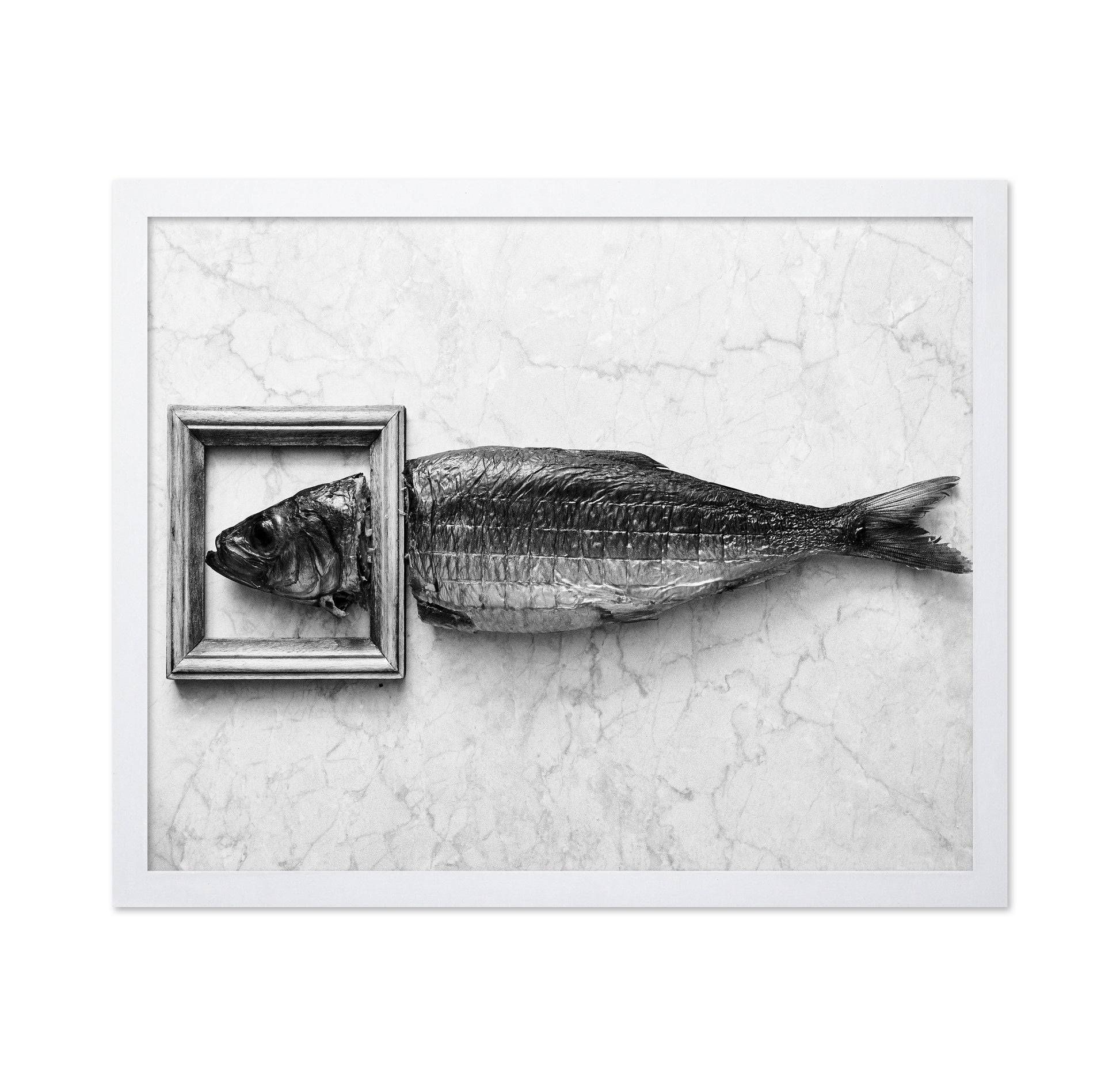 Fish Portrait
