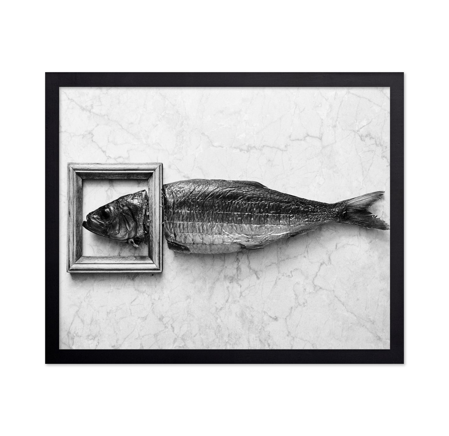 Fish Portrait