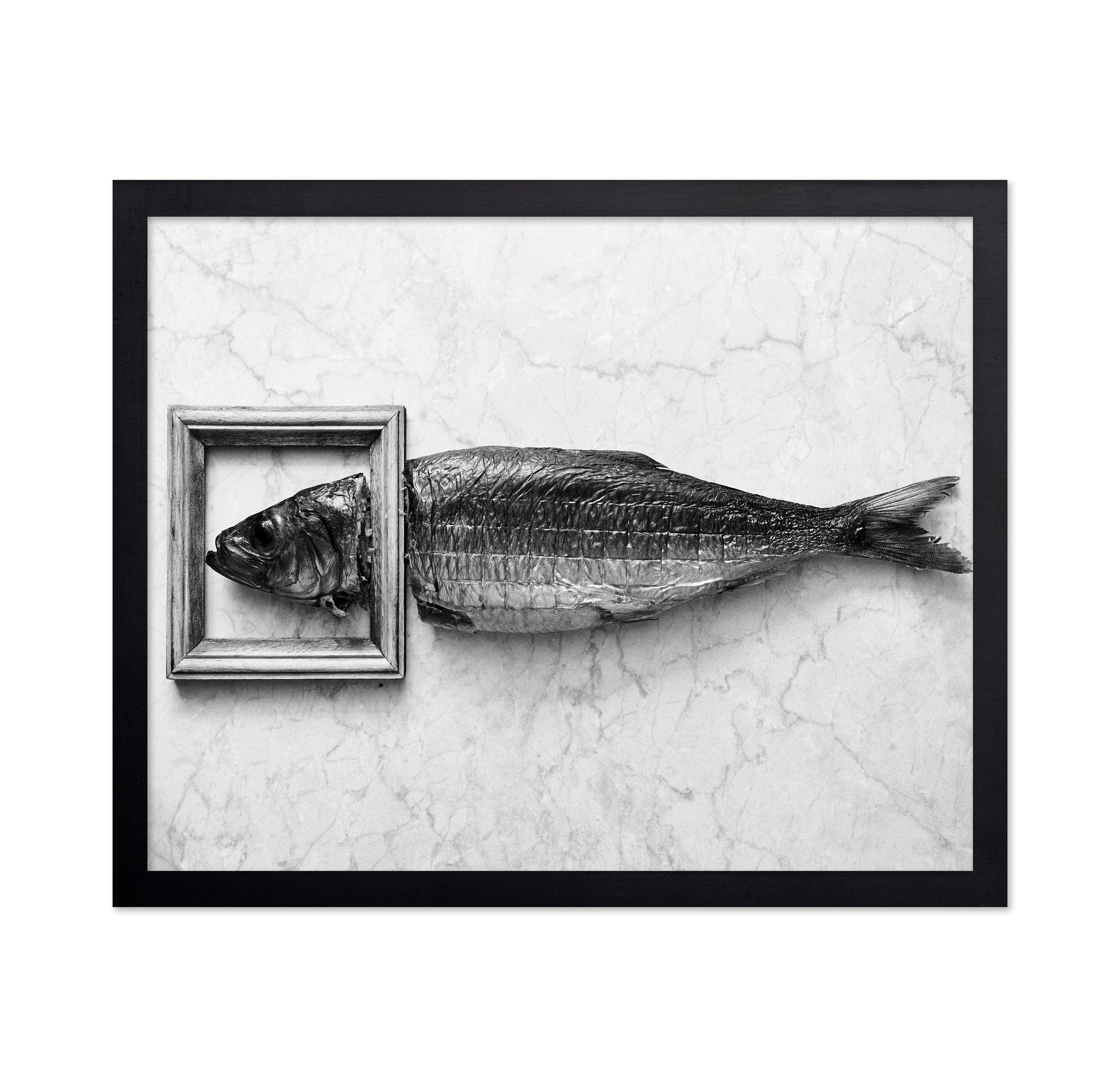 Fish Portrait