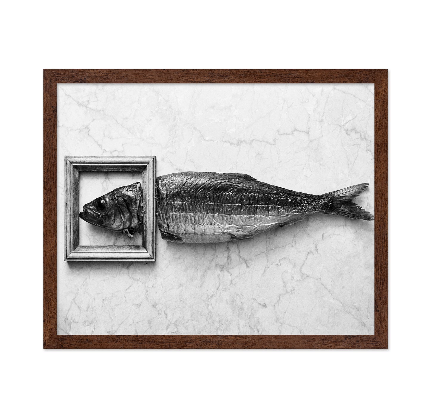 Fish Portrait