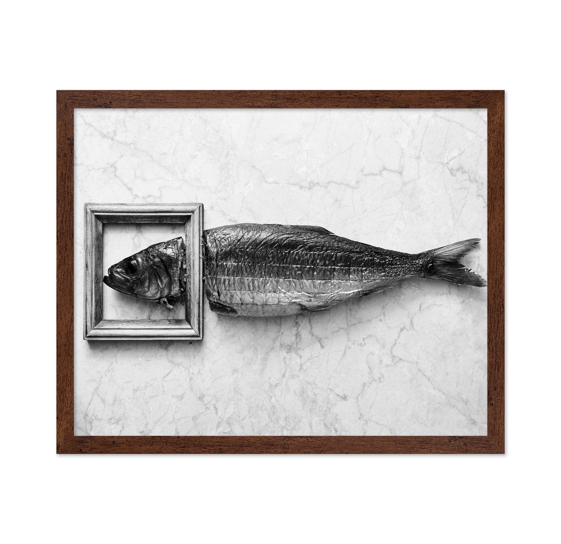 Fish Portrait