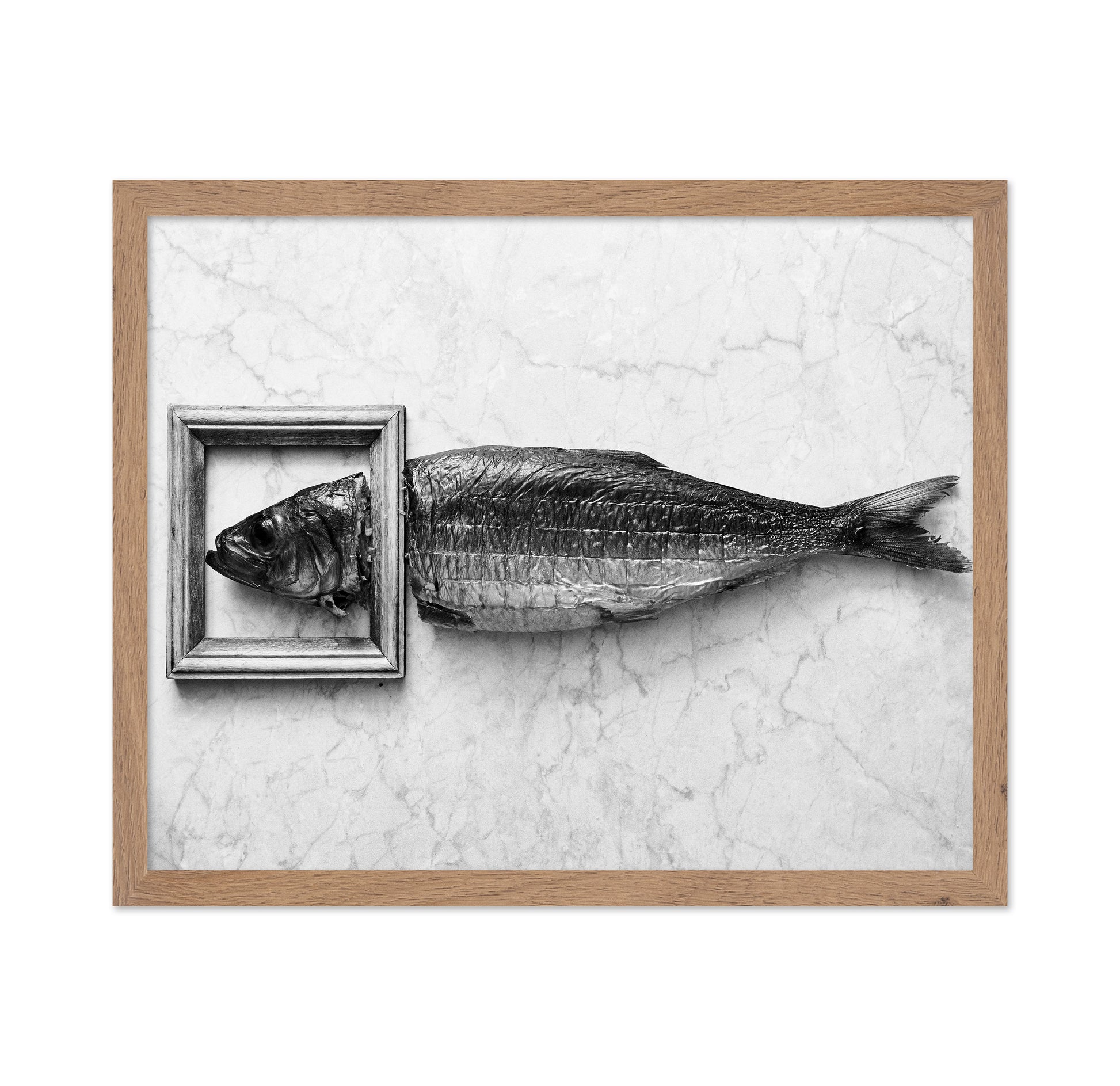 Fish Portrait