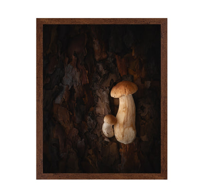 Mushroom Whispers