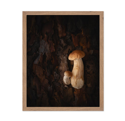 Mushroom Whispers